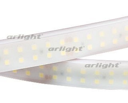 Лента светодиодная [5 м] Arlight  19000
