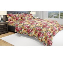 Постельное белье евростандарт Eco Cotton Dream