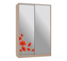 Шкаф-купе Рио 4-600 маки