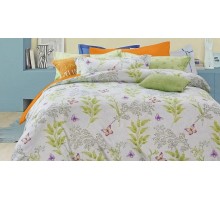 Постельное белье евростандарт Romantique Bernice