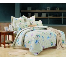 Постельное белье евростандарт C-217