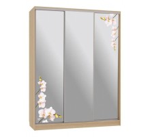 Шкаф-купе Бассо 4-600 орхидеи