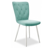 Стул DikLine 244