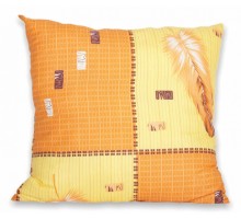 Подушка (60x60 см) Антикризис