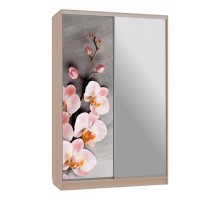 Шкаф-купе Рио 9-600 78