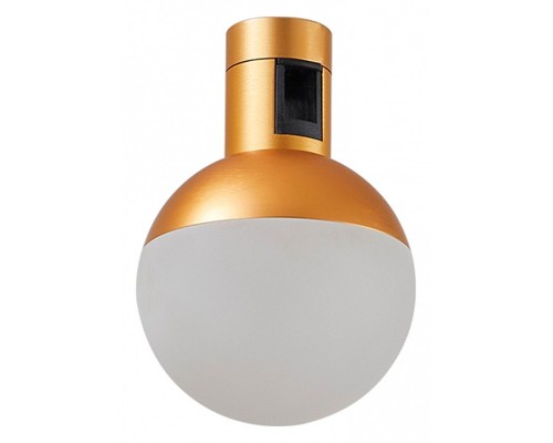 Светильник на штанге ST-Luce Farm 