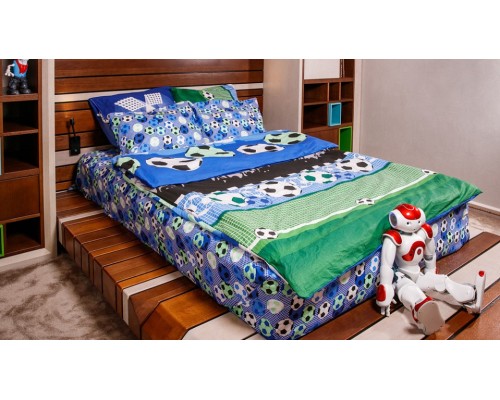 Постельное белье евростандарт Футбольный фанат