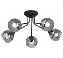 Потолочная люстра Vitaluce  V4724-1/5PL