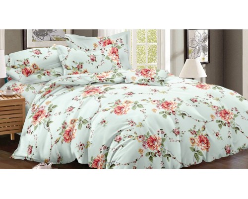 Постельное белье евростандарт Art Color 049-AC