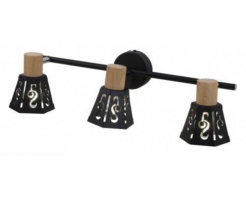 Спот Rivoli Notabile W3 BK Б0038112