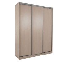 Шкаф-купе Бассо 5-600