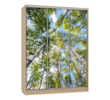 Шкаф-купе Бассо 7-600 57