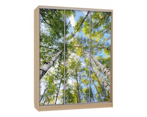 Шкаф-купе Бассо 7-600 57