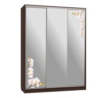 Шкаф-купе Бассо 4-600 орхидеи