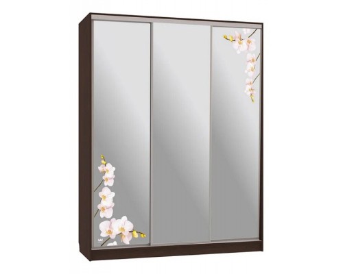 Шкаф-купе Бассо 4-600 орхидеи