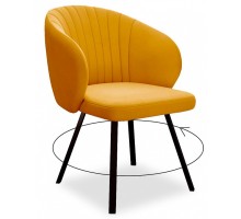 Стул DikLine 258