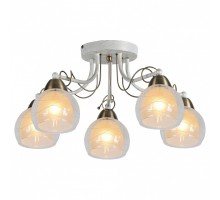 Потолочная люстра Arte Lamp  A1633PL-5WG