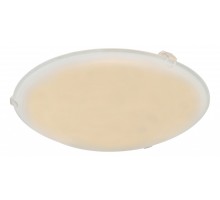 Накладной светильник Globo Holly I 40989