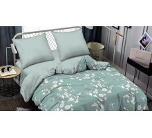 Постельное белье полутораспальное Combo Hastl