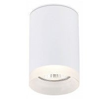 Накладной светильник SIMPLE STORY 2039 2039-1CLW