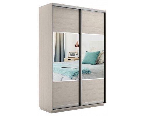 Шкаф-купе Экспресс Комби дуо