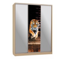 Шкаф-купе Бассо 9-600 87