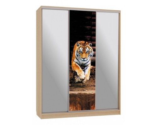 Шкаф-купе Бассо 9-600 87