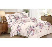 Постельное белье семейное Art Color 070-AC