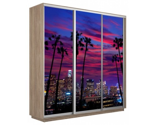 Шкаф-купе Экспресс Фото трио 1014 2100x600x2400