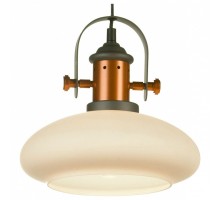 Подвесной светильник Lussole Binghamton LSP-9845