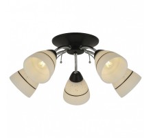 Потолочная люстра TopLight Winnifred TL1255D-05BC