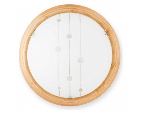 Накладной светильник TopLight Madison TL9033Y-02PN