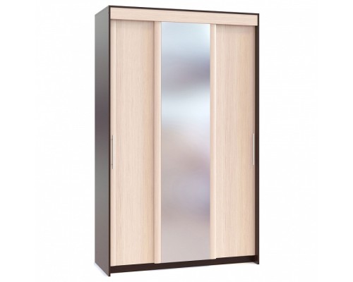 Шкаф-купе ШР-156.3