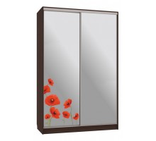 Шкаф-купе Рио 4-600 маки