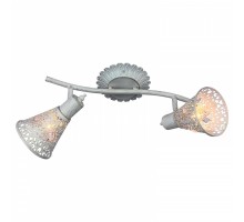 Спот Favourite Arabian Drim 1796-2U