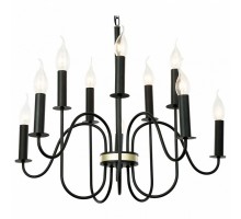 Подвесная люстра Lussole Roosevelt 