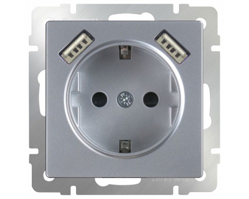 Розетка с заземлением, шторками и 2хUSB, без рамки Werkel Серебряный WL06-SKGS-USBx2-IP20