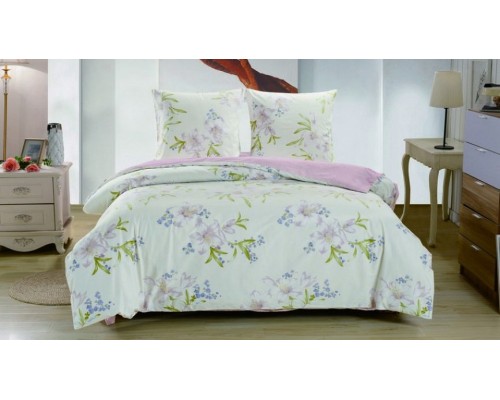 Постельное белье евростандарт CL-233