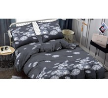 Постельное белье евростандарт Black