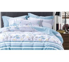 Постельное белье евростандарт Сансерити