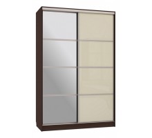 Шкаф-купе Рио 2-600 с зеркалом