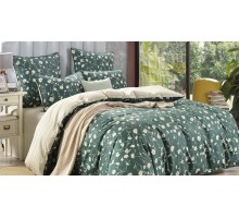 Постельное белье евростандарт Бель