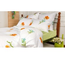 Постельное белье евростандарт Spring melody citrus
