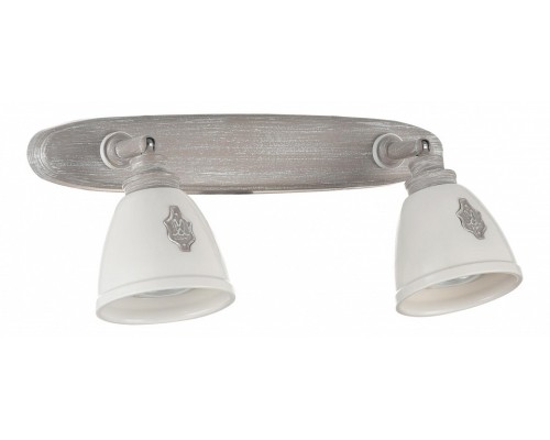 Спот Maytoni Agnes SP289-CW-02-BG