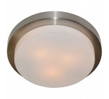 Накладной светильник Arte Lamp Aqua A8510PL-3SS