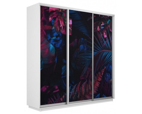 Шкаф-купе Экспресс Фото трио 1004 2400x600x2200