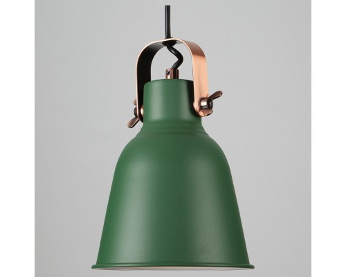 Подвесной светильник Eurosvet Projector 50083/1 зеленый