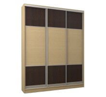 Шкаф-купе Адриано-3.1 2100x400x2200 мм