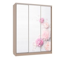 Шкаф-купе Бассо 7-600 17