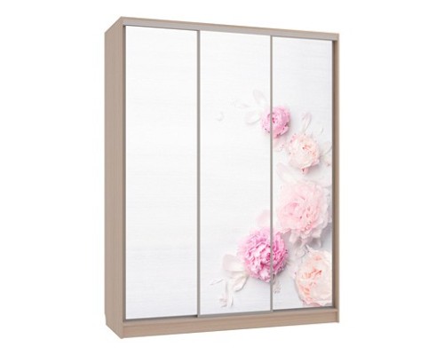 Шкаф-купе Бассо 7-600 17